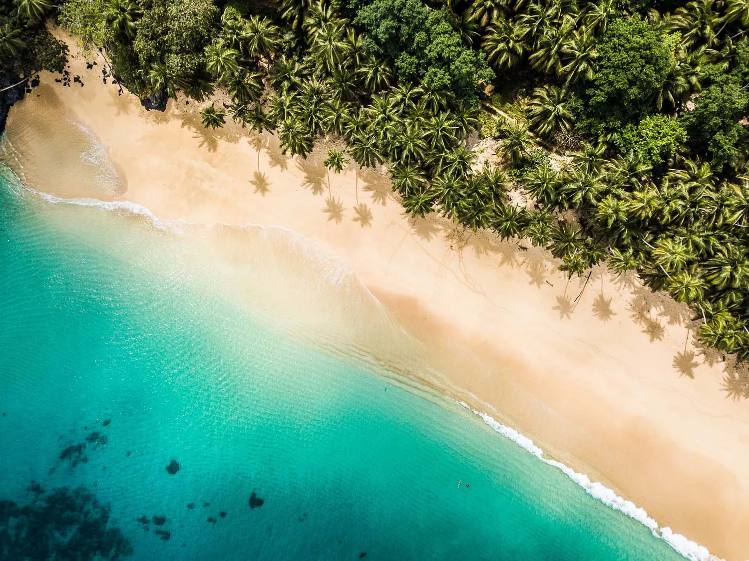 Wild São Tomé & Príncipe - Nature and Beach image 1