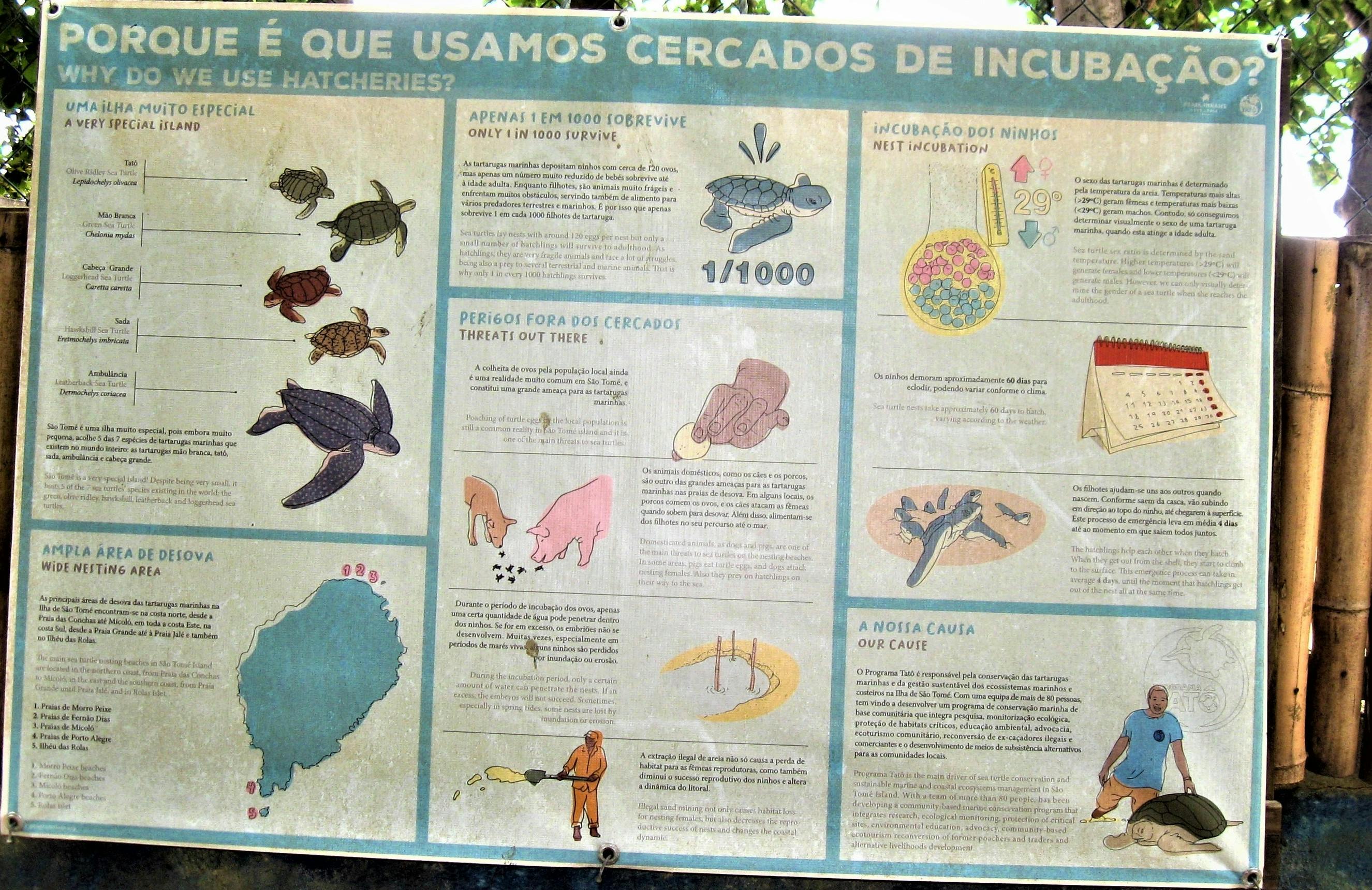 Southern Beaches of Sao Tome 5