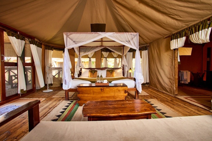 Elephant Bedroom Camp 7