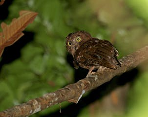 1 -  Arrival into Antananarivo