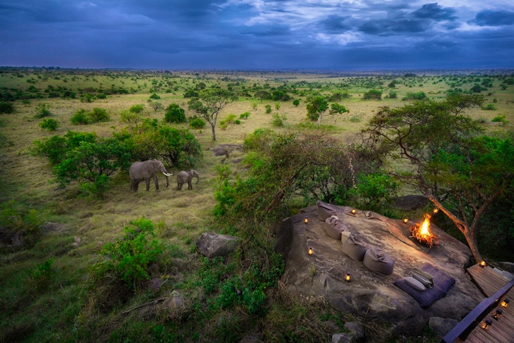 Wildlife Experience at Nimali Mara