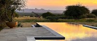 Pool View, Giraffe, Tumaren Camp, Laikipia, Kenya