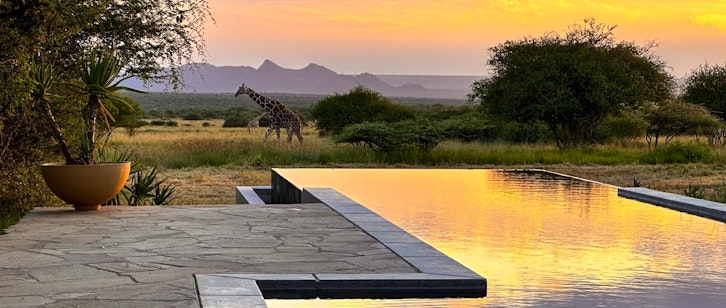 Pool View, Giraffe, Tumaren Camp, Laikipia, Kenya