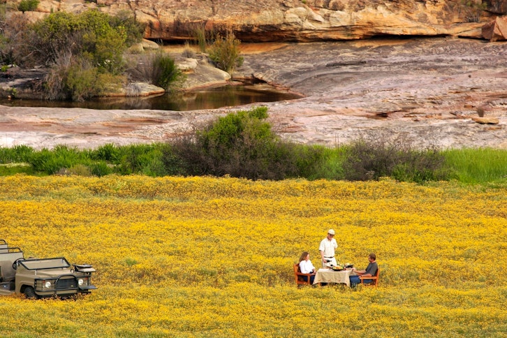 Safari Picnic, Bushmans Kloof, South Africa