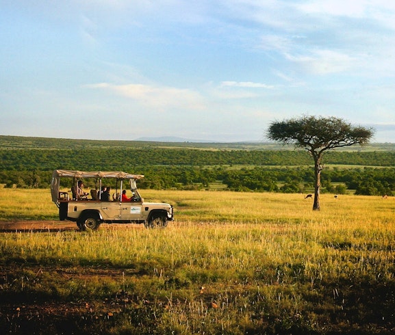 Game Drive at Tipilikwani Mara Camp