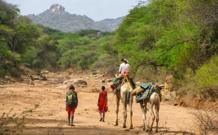 Camel Safari, Karisia Classic Walking Camp, Laikipia, Kenya