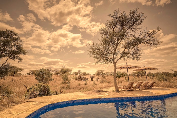 Swimming Pool View at Nimali Tarangire