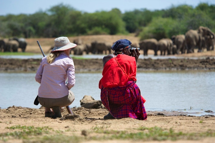 Walking Safari, Elephant, Karisia Classic Walking Camp, Laikipia, Kenya