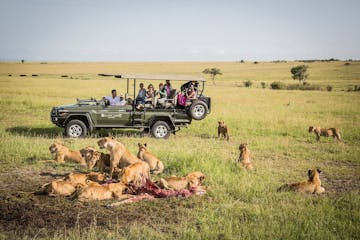 Masai Mara - Sala's Camp