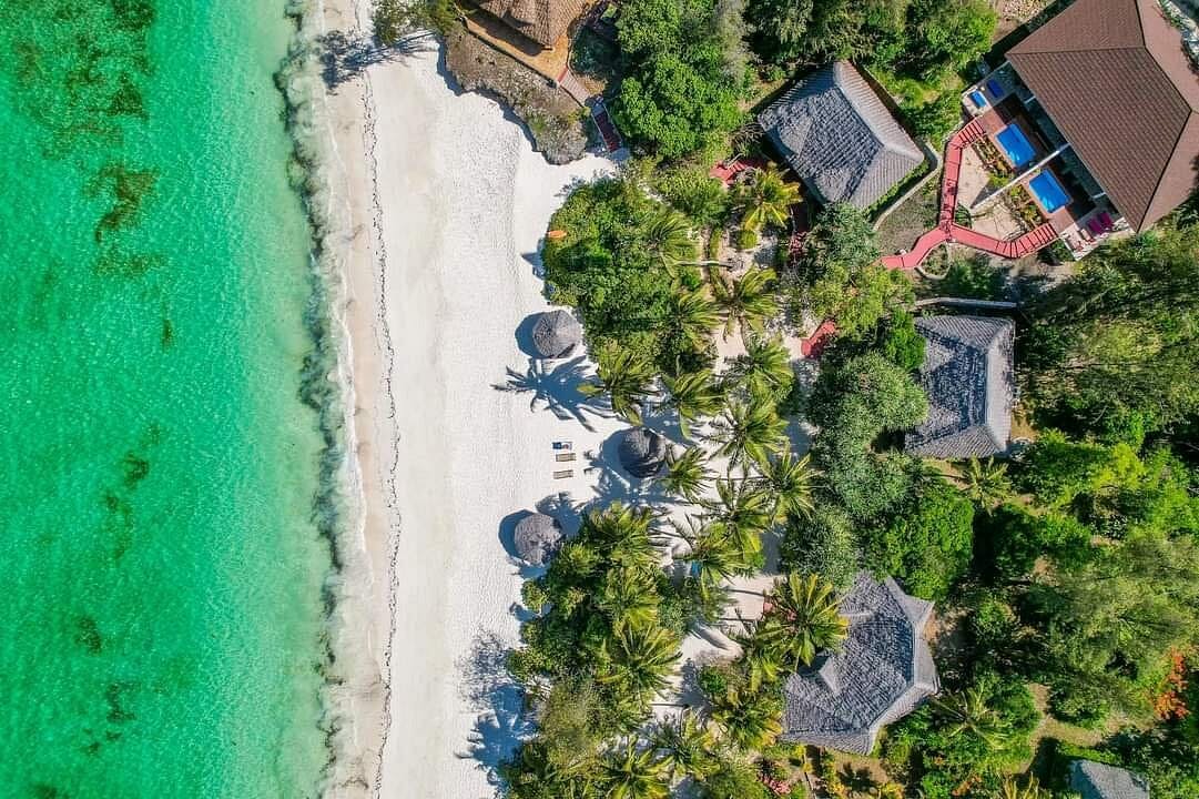 Pongwe Beach Lodge - Zanzibar