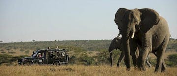 Masai Mara, Kenya - Kicheche Valley Camp 