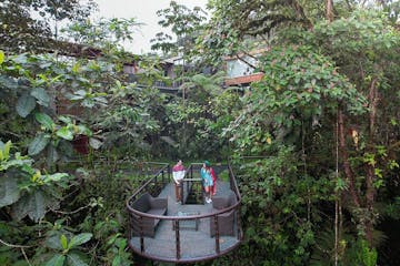 Quito - Masphi Cloud Forest