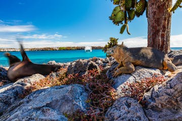 | South Plaza & North Seymour