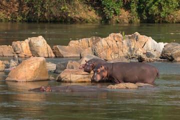 Safari Majete Reserve