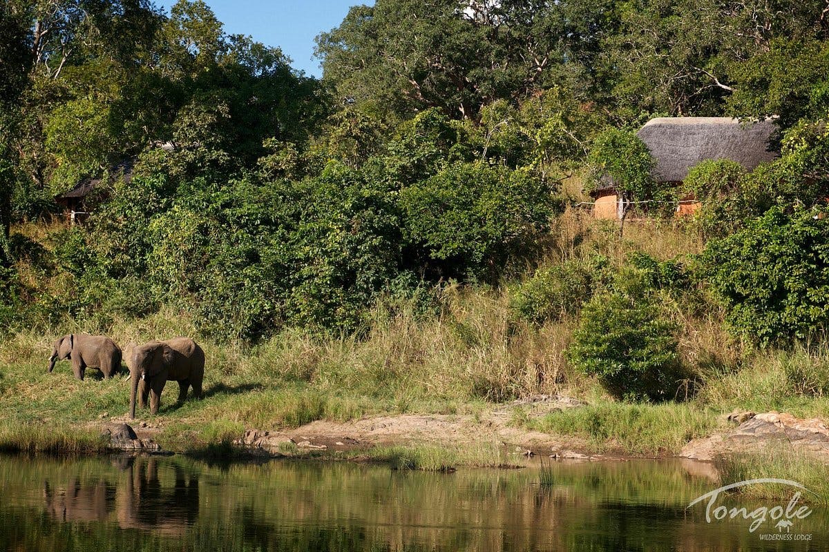 Nkhotakota Wildlife Reserve