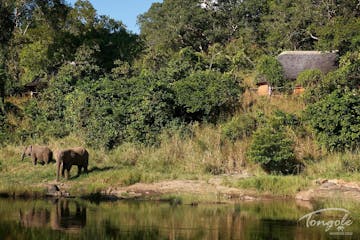 Nkhotakota Wildlife Reserve