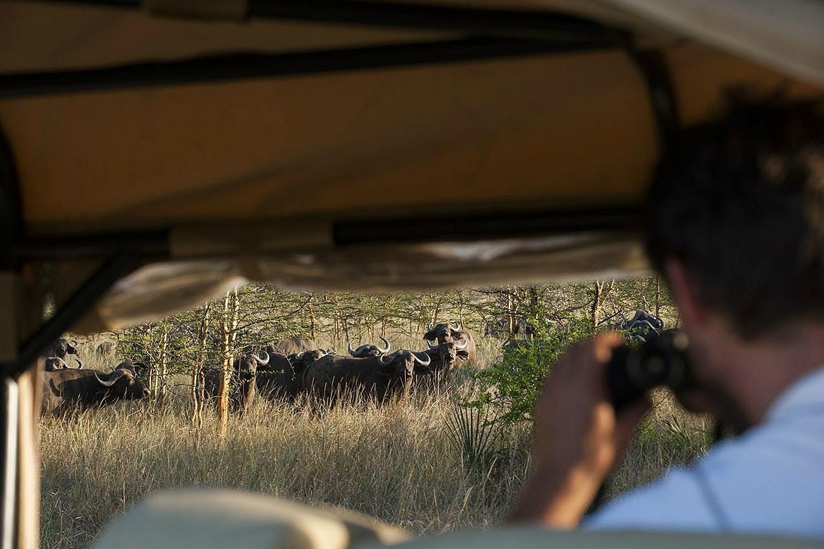 Sanctuary Saadani Safari Lodge