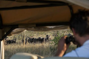 Sanctuary Saadani Safari Lodge