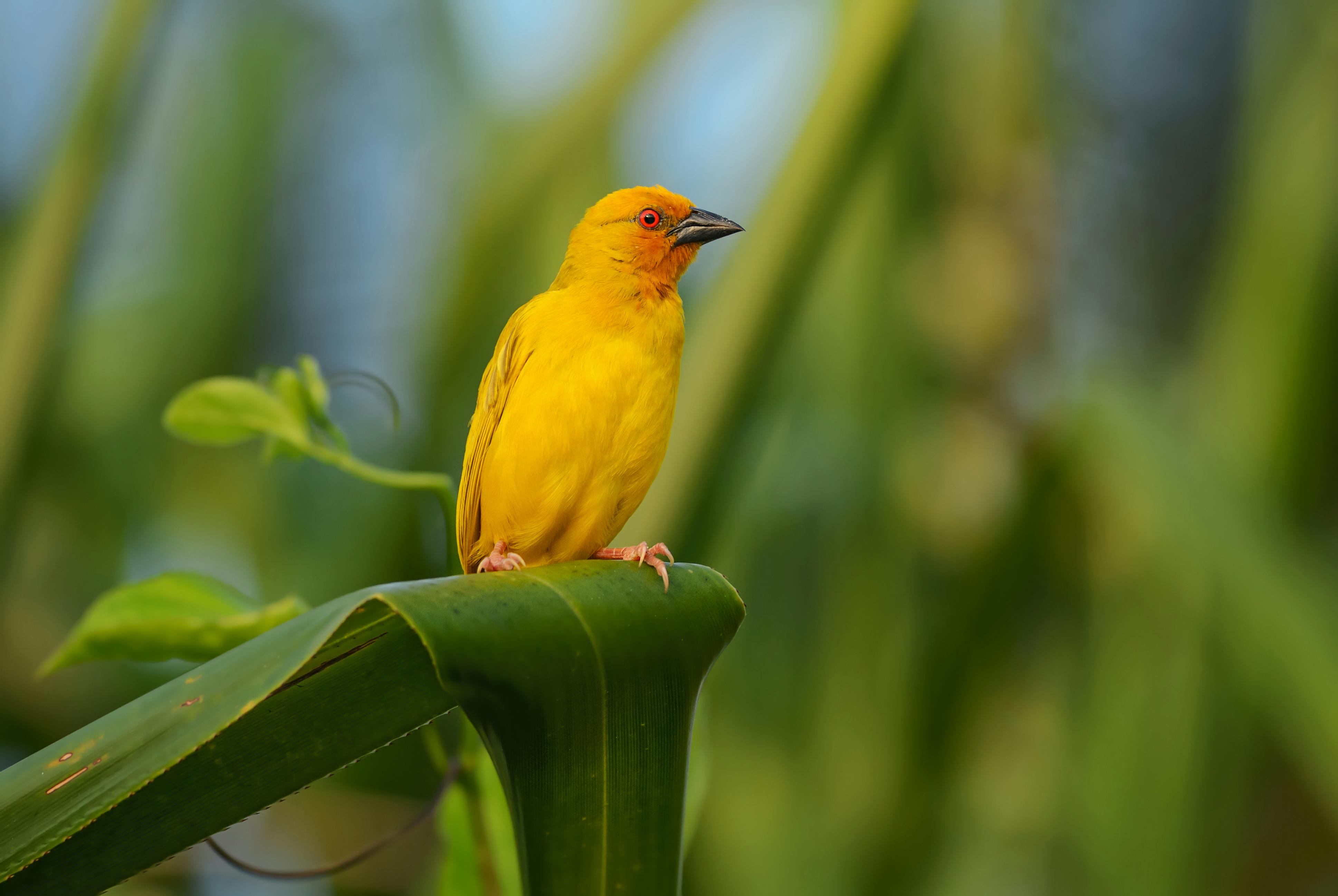 Departure (reluctantly!)