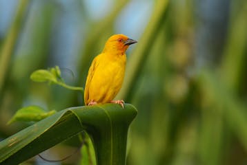 Departure (reluctantly!)