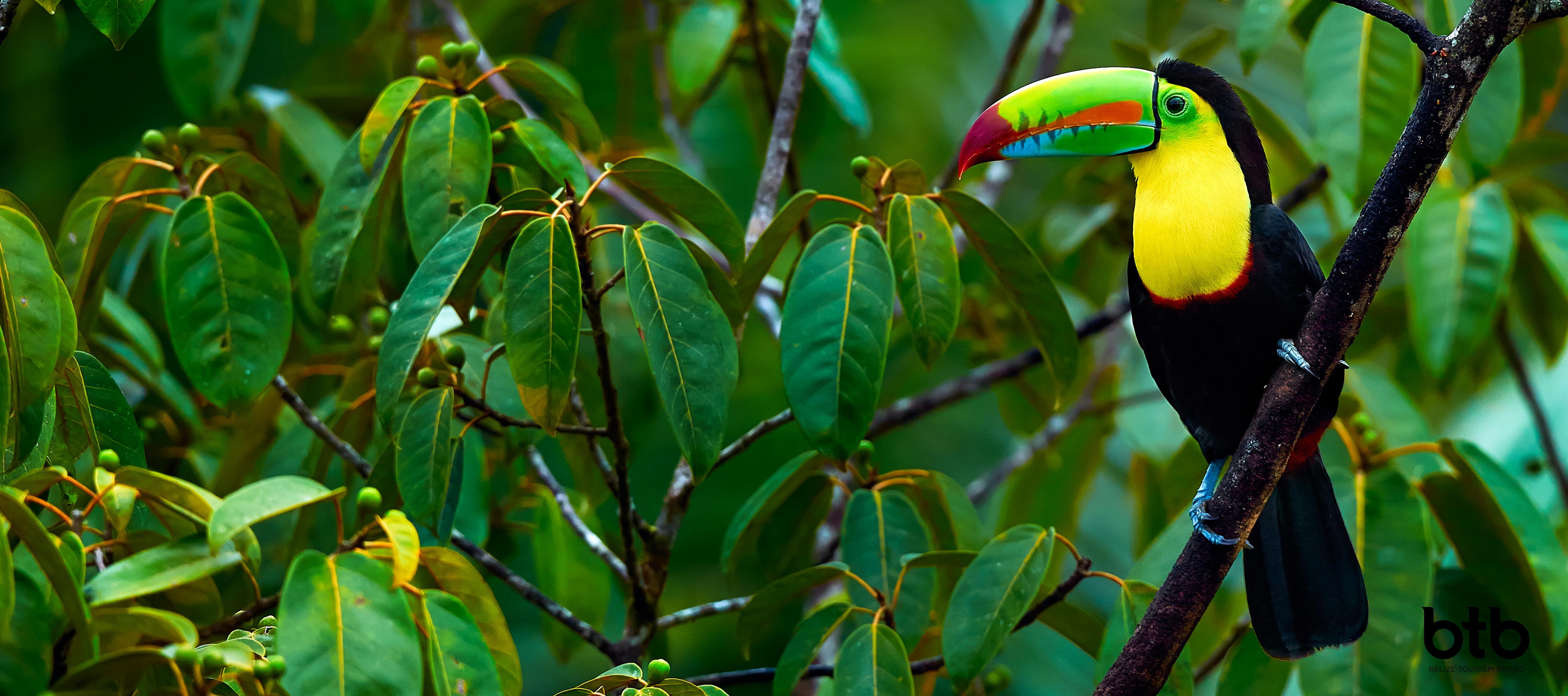 The Best Places to Visit in Belize