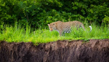 Kakuli Bush Camp, South Luangwa National Park