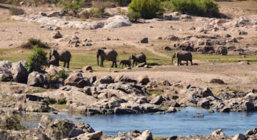 Kruger National Park