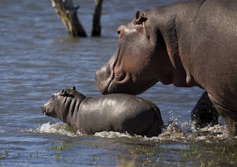 Kruger National Park