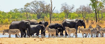 | Hwange National Park Zimbabwe