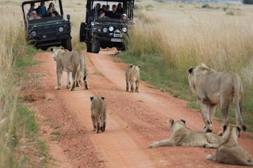 Kololo Game Reserve, Waterberg Biosphere Reserve