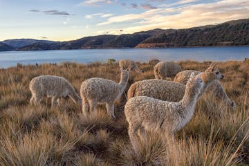 | Lake Titicaca to Cuzco