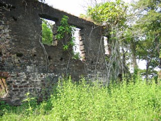 Bunce & Tasso Islands 