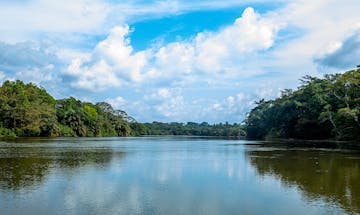 Head to Tiwai Island Wildlife Sanctuary