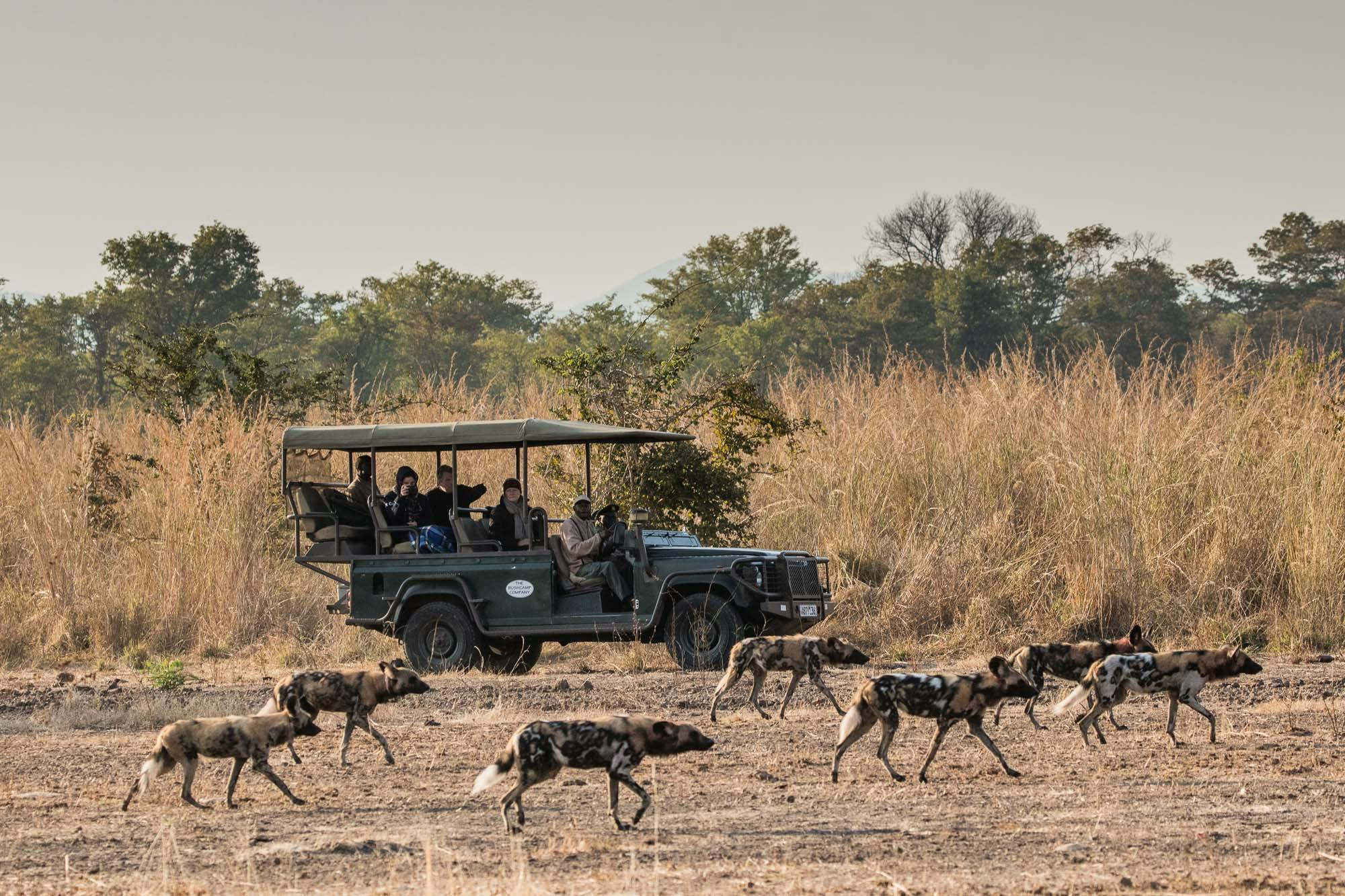 South Luangwa - Mfuwe Lodge