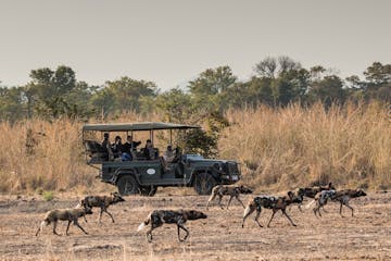 South Luangwa - Mfuwe Lodge