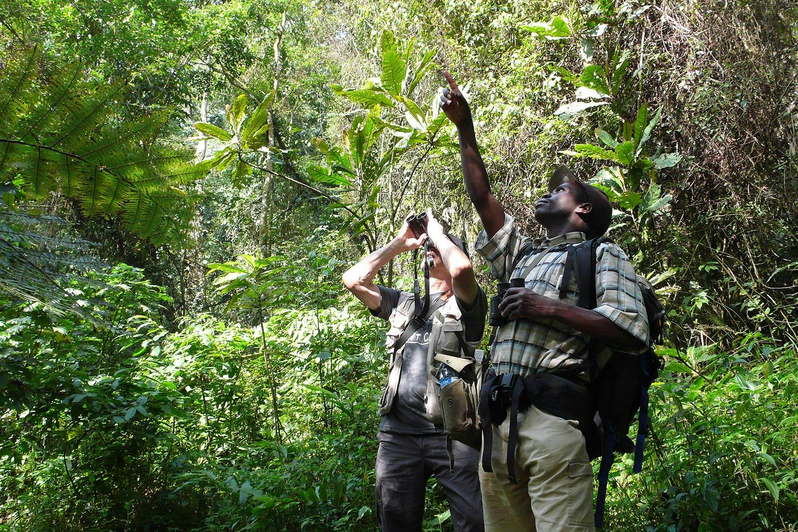| Lake Mburo - Bwindi Impenetrable National Park