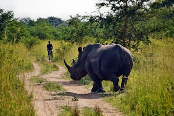 | Murchison Falls - Ziwa Rhino Sanctuary - Entebbe