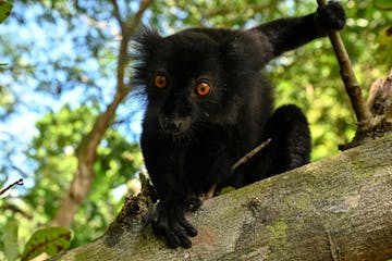 Antananarivo - Nosy Be (flight) 