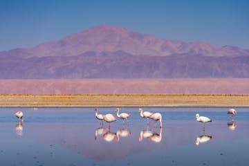 | San Pedro de Atacama to Sud Lípez, Bolivia