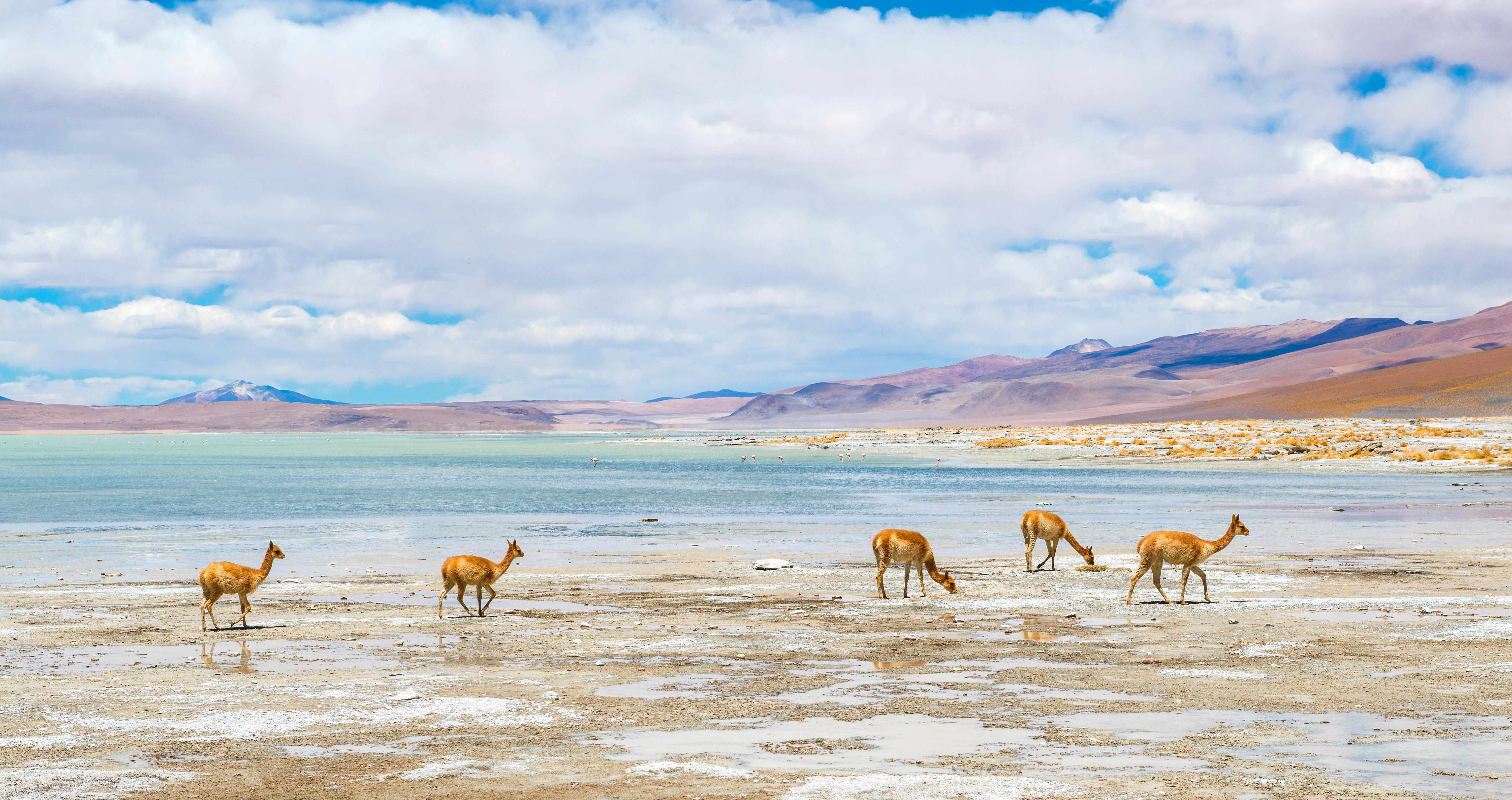 | Salar de Uyuni