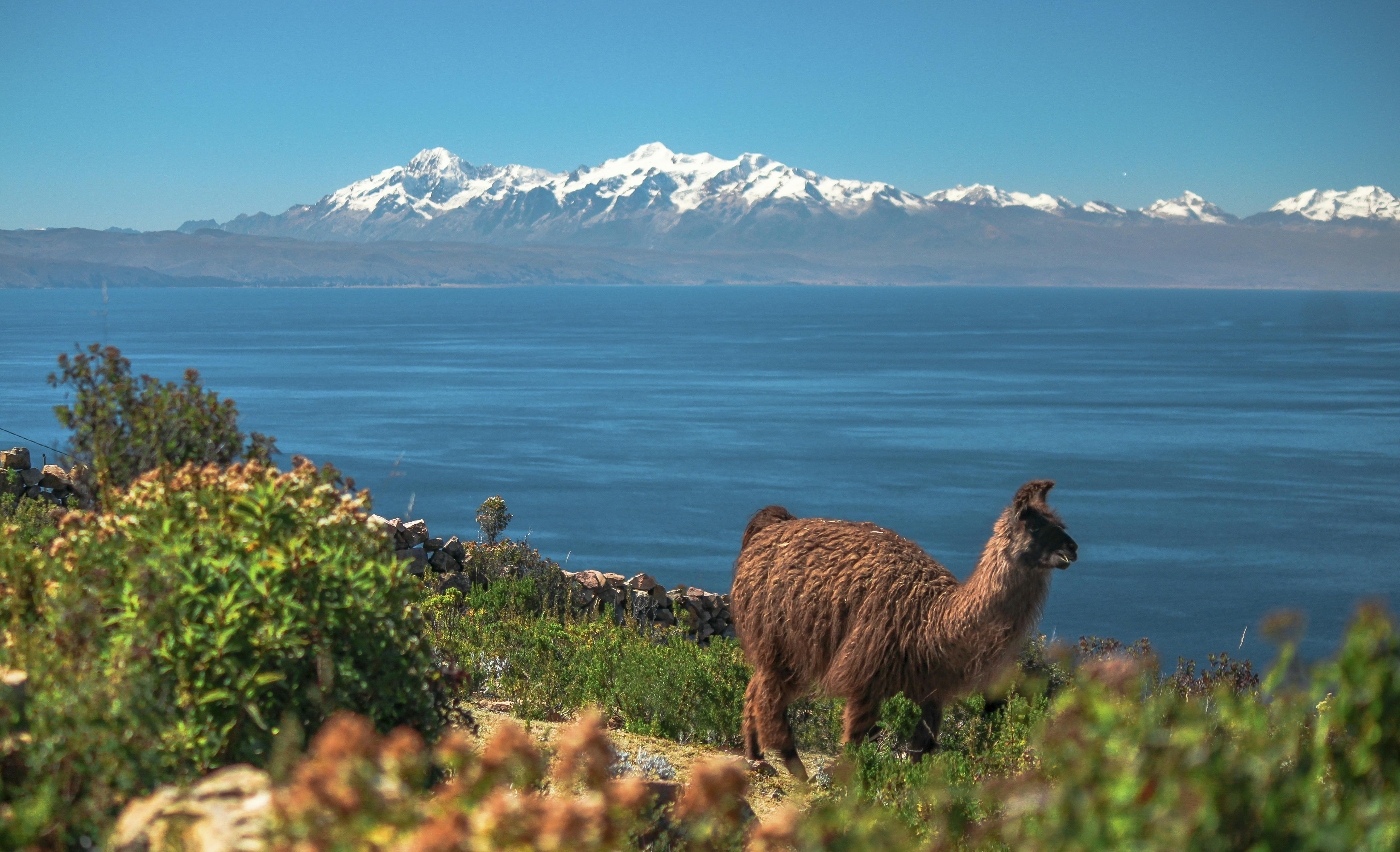 | Lake Titicaca
