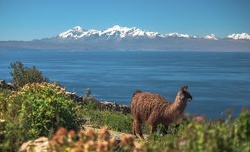 | Lake Titicaca