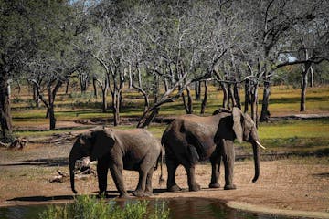 Majete Wildlife Reserve