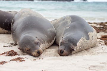 Santa Cruz to Floreana Island