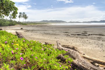 Nicoya Peninsula