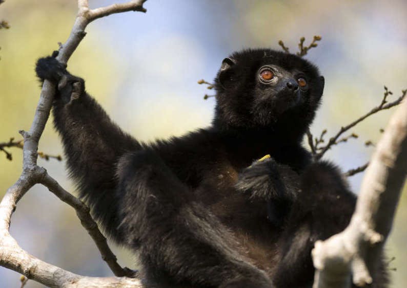 | 24 October 2025 | Andrafiamena-Andavakoera Protected Area