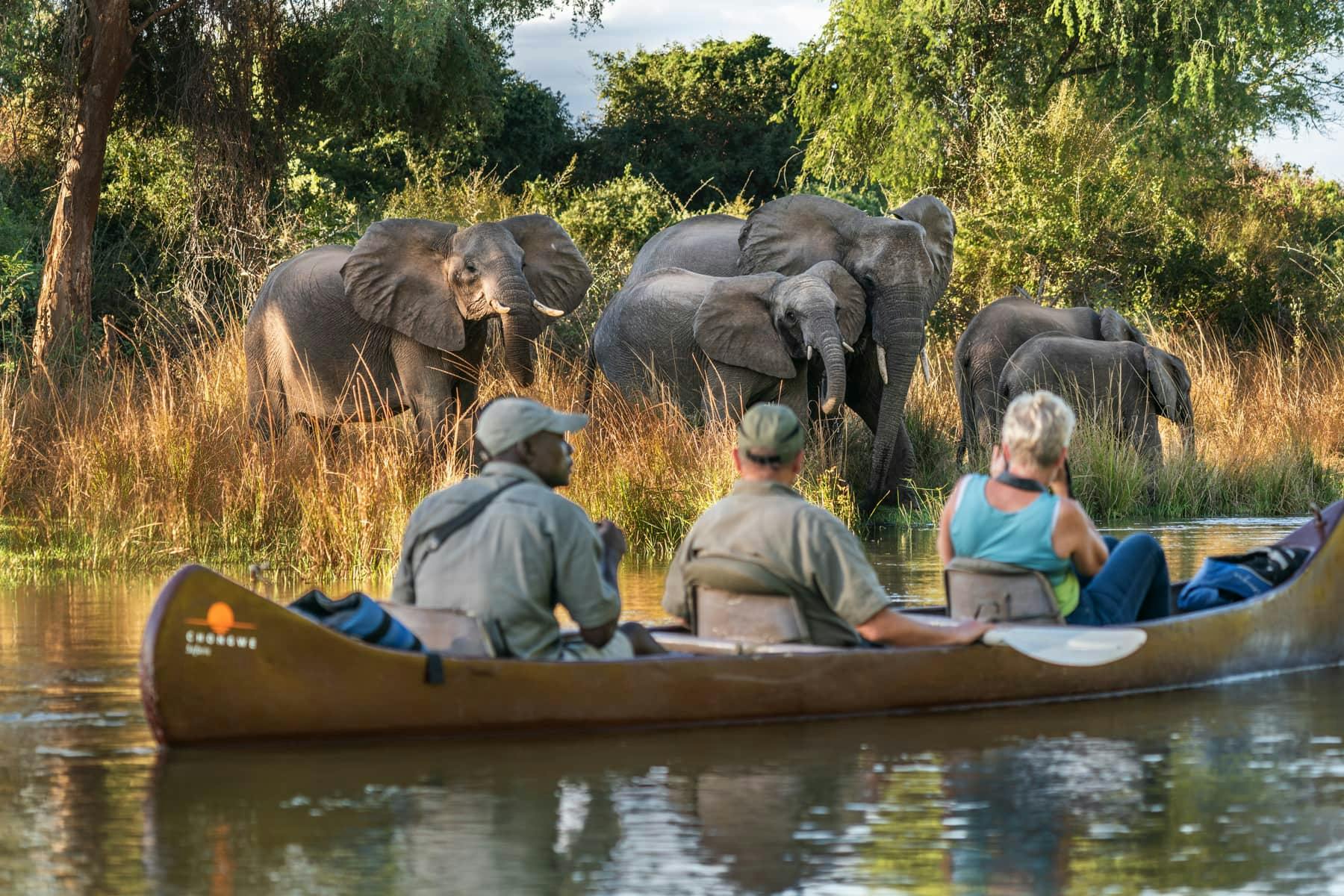 Easy Zambezi image 1