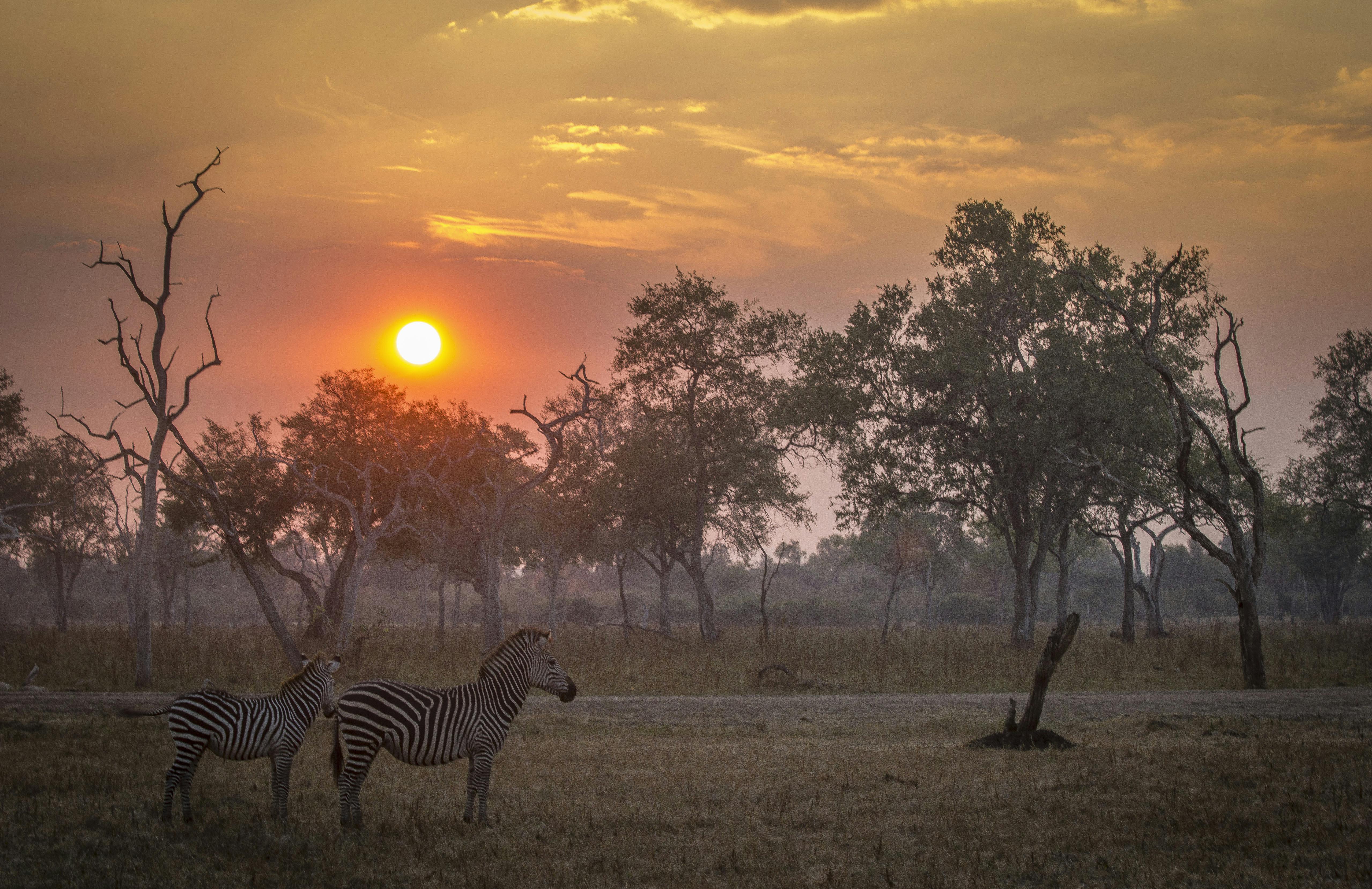 Travel to Bilimungwe