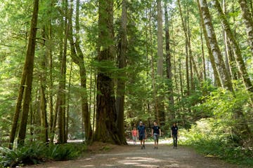 | Explore Campbell River