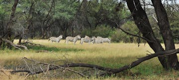 | Hwange National Park